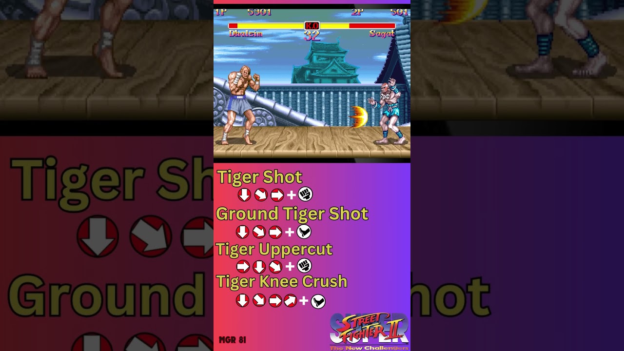SSF2TNC - Sagat Move List