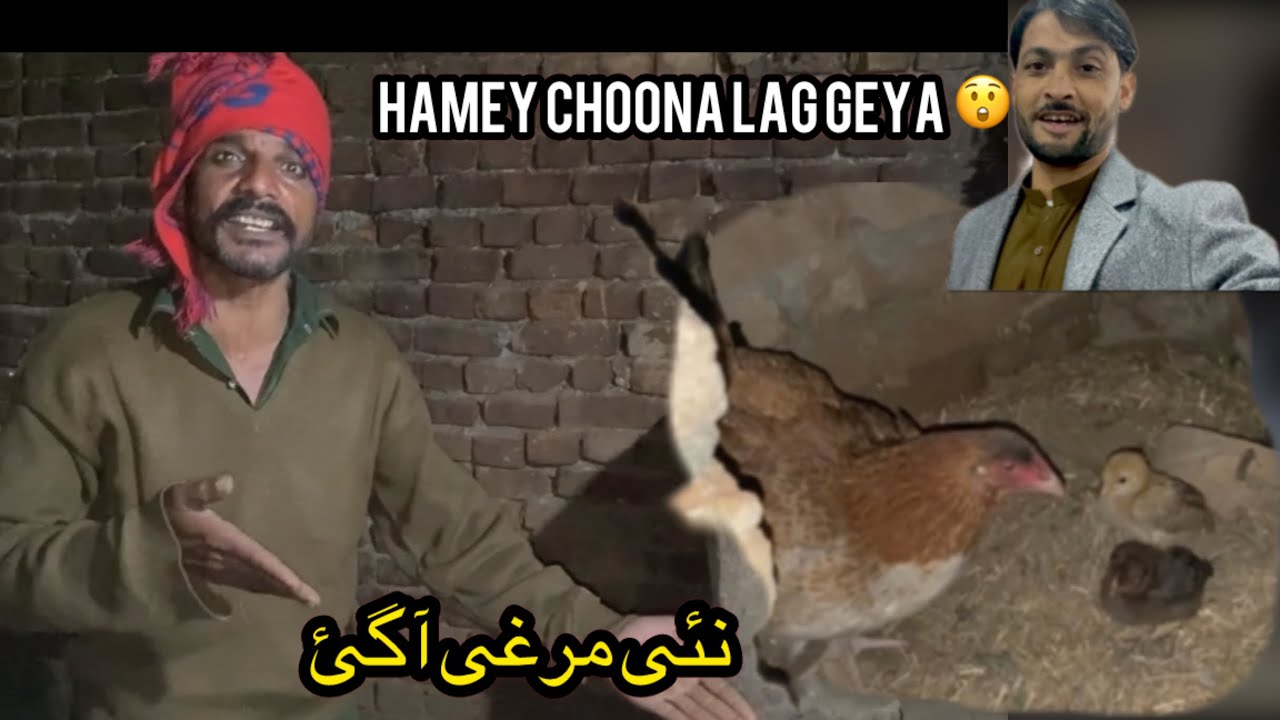 Hamey choona lag geya😳