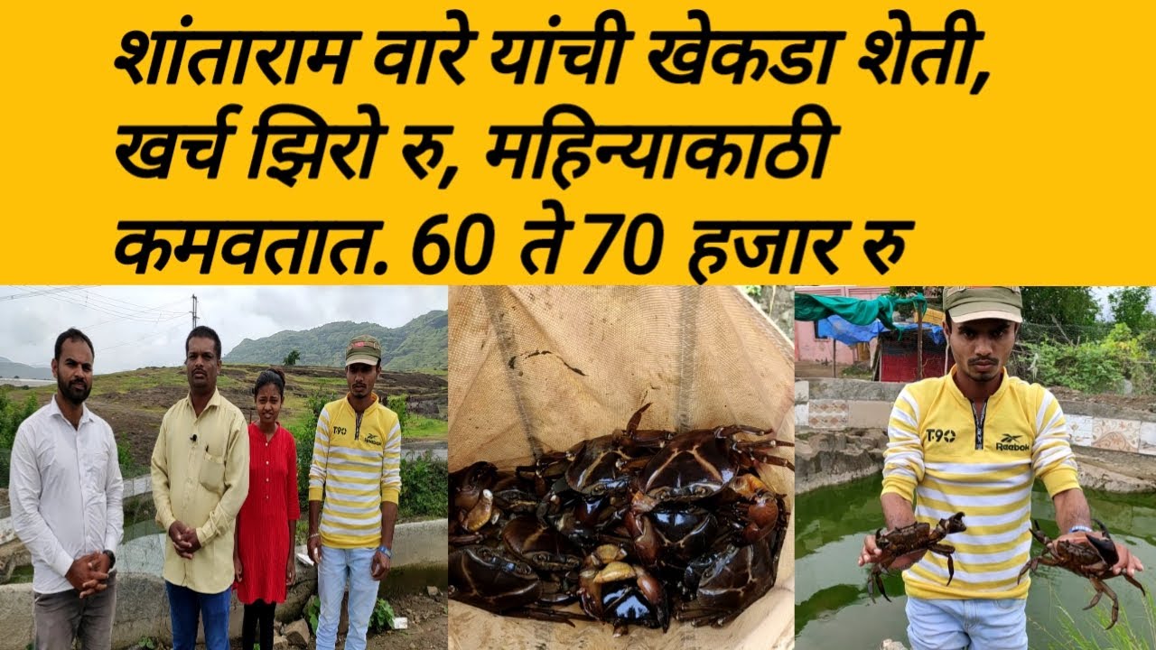शांताराम वारे यांची खेकडा शेती,1 गुंठयात लाखो रु, खर्च 0 रु: crab farming: