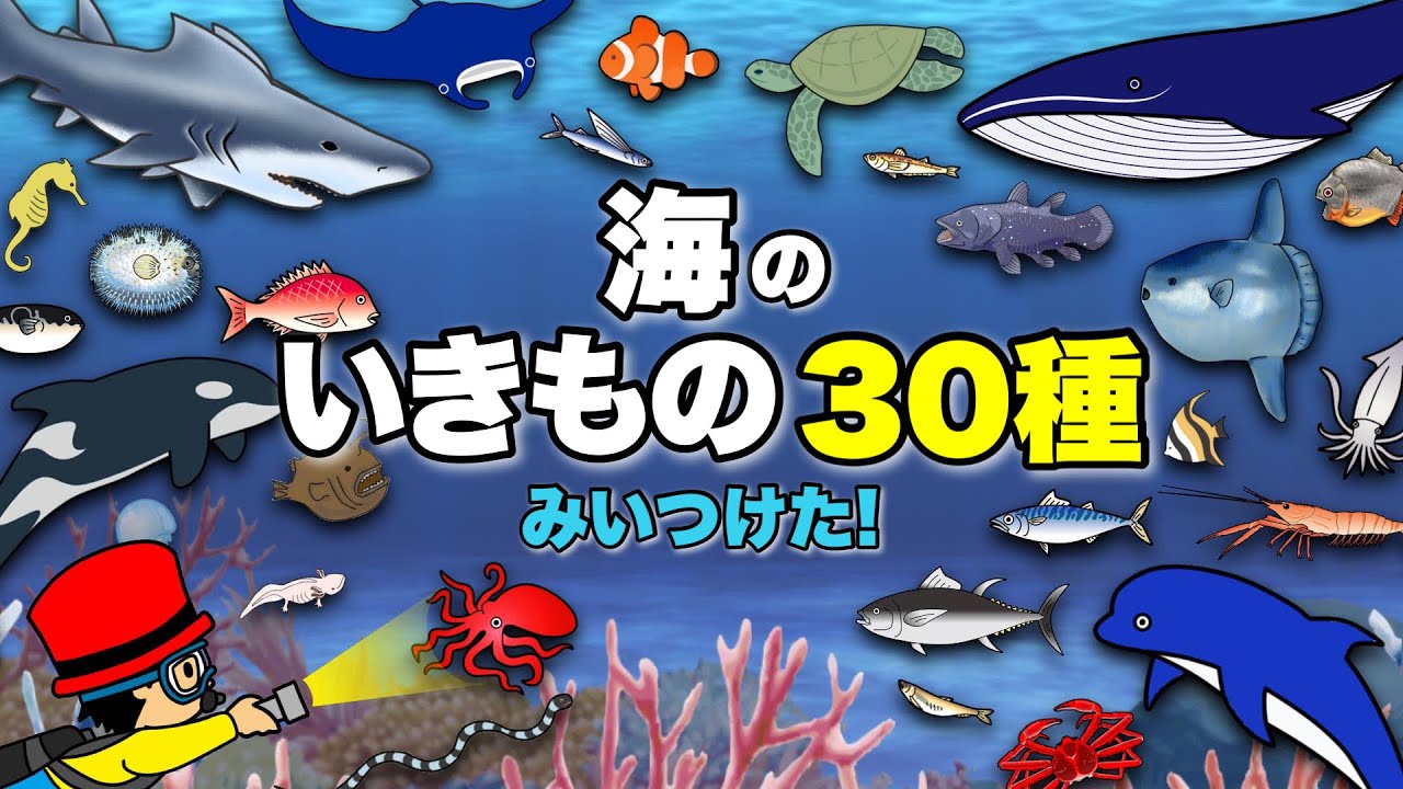 【子供が喜ぶ水族館】30種類！海の生き物 お魚さんたちが大集合！何が出てくるか当ててね！さかなの名前ずかん★サメ・たこ・くじら・いるか・まぐろ★未就学児向け教育｜Fish気分はスキューバダイビング♪