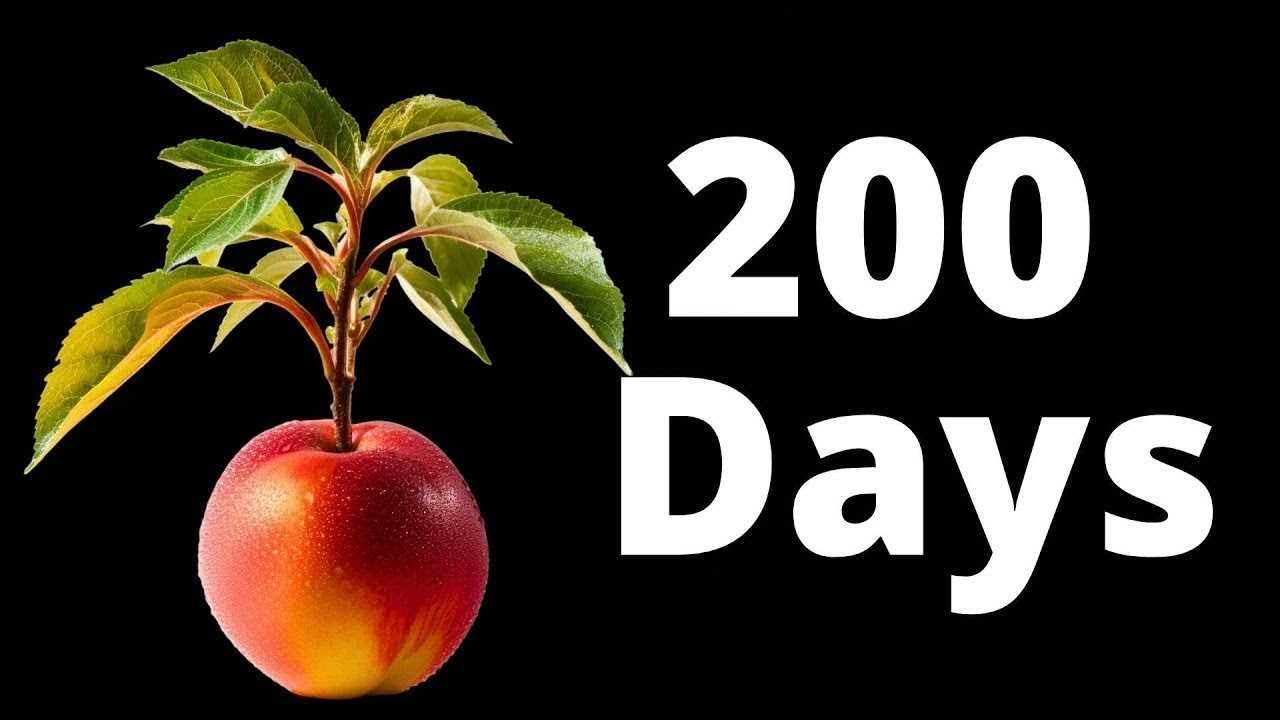 Growing a NECTARINE Tree from Seed in Timelapse! (200 Days)