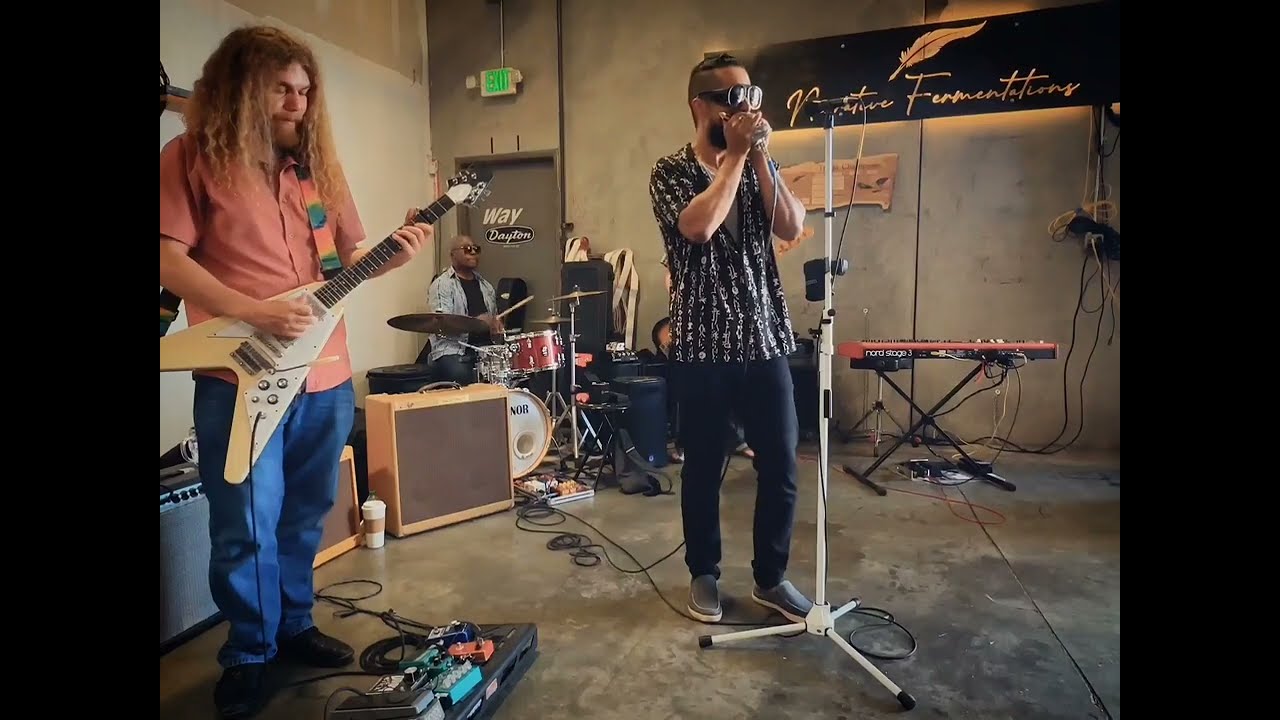 Aki Kumar | Blow Wind Blow | Muddy Waters Blues Cover