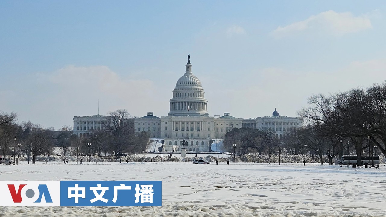 美国之音中文广播 (2026年2月12日)