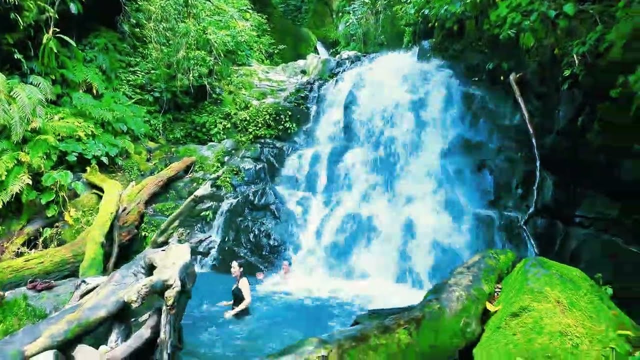 Patag -- Back to Roots