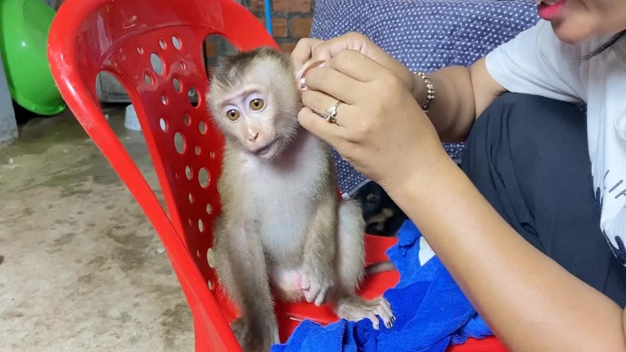 Appealing DAM Sit Calm Seems Very Relax While Mom Clean Earwax
