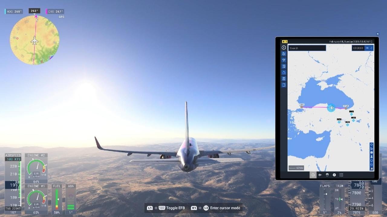 Microsoft Flight Simulator 2024_20260208173331