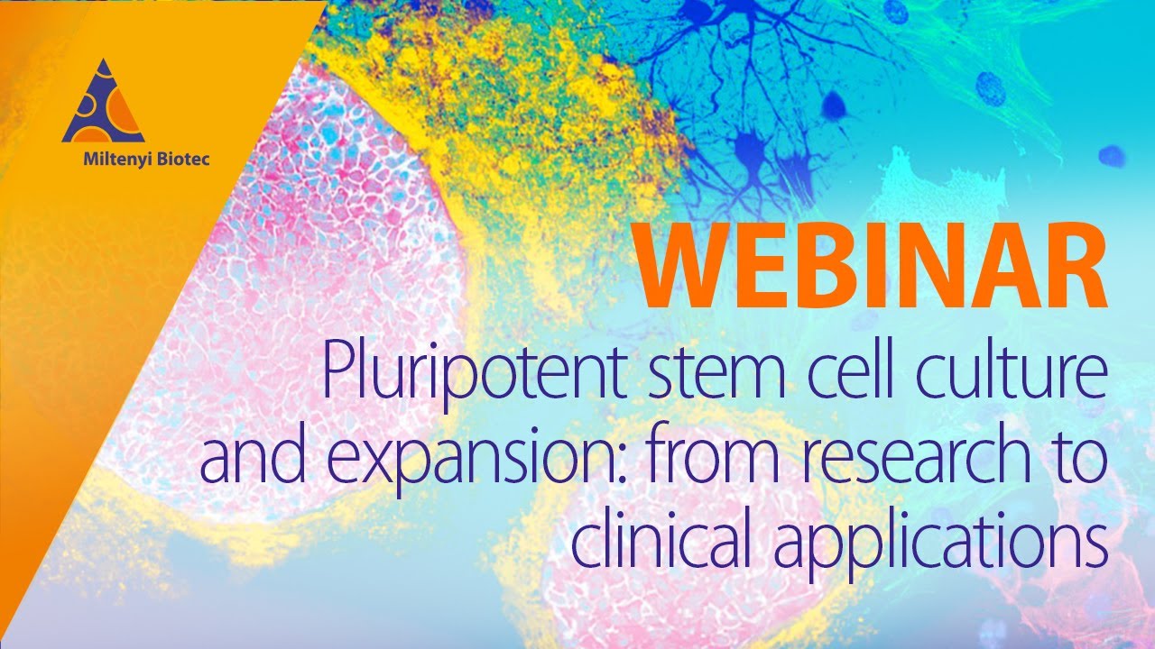 Pluripotent stem cell culture and expansion: from research to clinical applications [WEBINAR]
