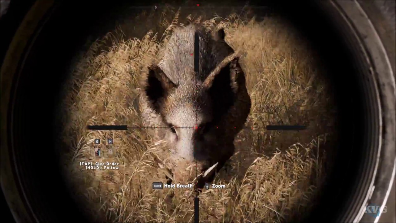 Far Cry 5 - Hunting Wild Boars - Open World Free Roam Gameplay (PC HD) [1080p60FPS]