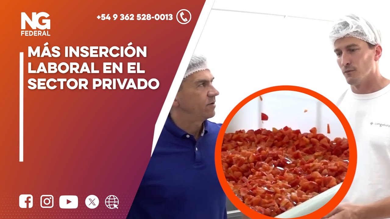 NGFEDERAL-MÁS INSERCIÓN LABORAL EN EL SECTOR PRIVADO