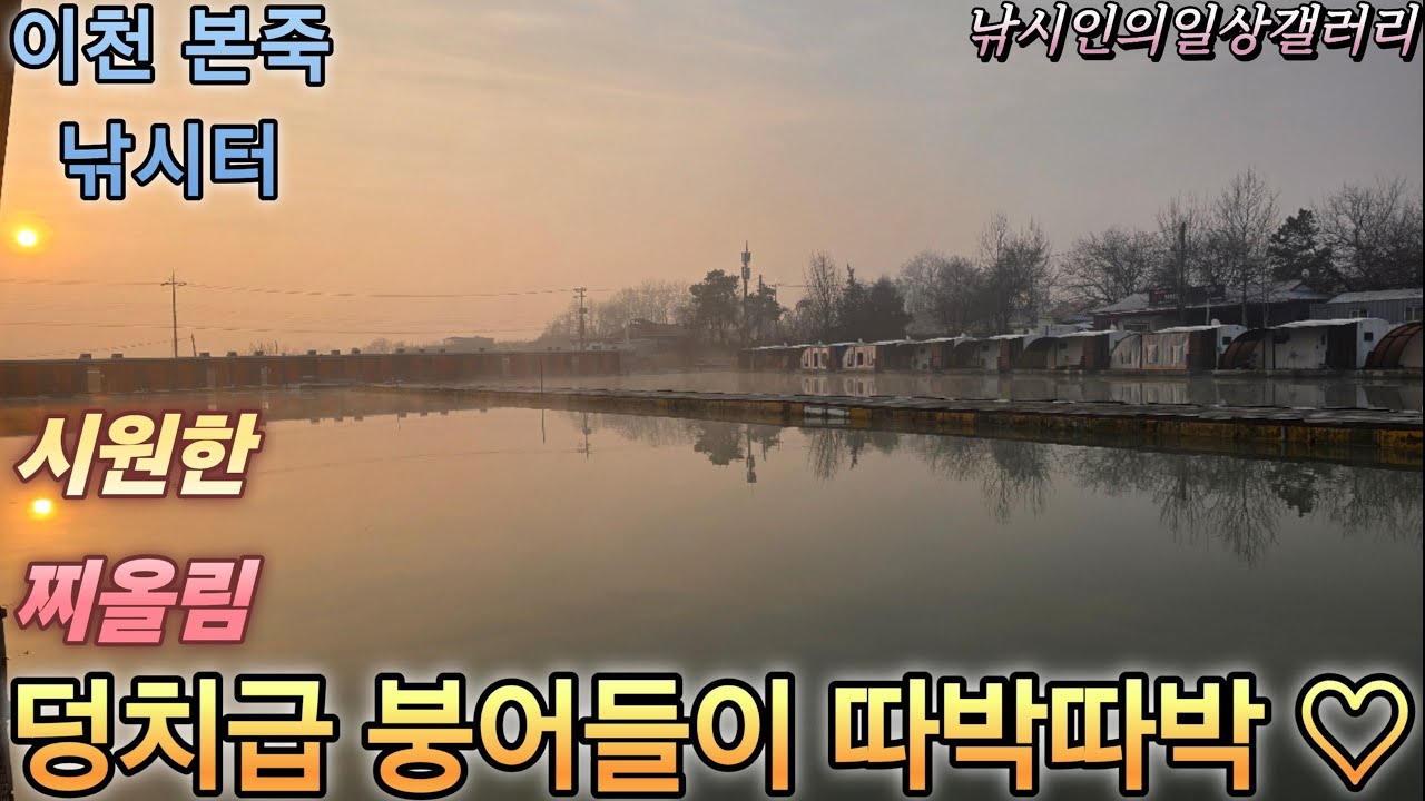 덩치급붕어들이 따박따박♡(본죽낚시터)