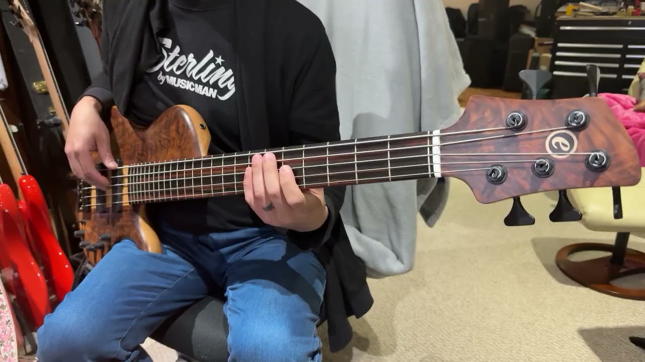 Elrick e-volution 5 String Single Cut bass