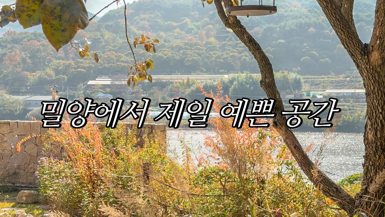 마음이 쉬어가는 곳, 밀양에서 제일 예쁜 공간