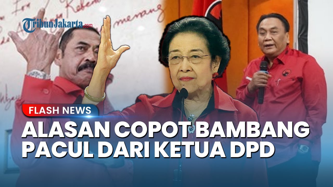 TERUNGKAP Alasan Megawati Copot Bambang Pacul sebagai Ketua DPD PDIP Jateng, Kini Digantikan FX Rudy