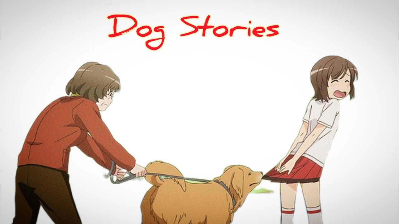 My Dog Stories