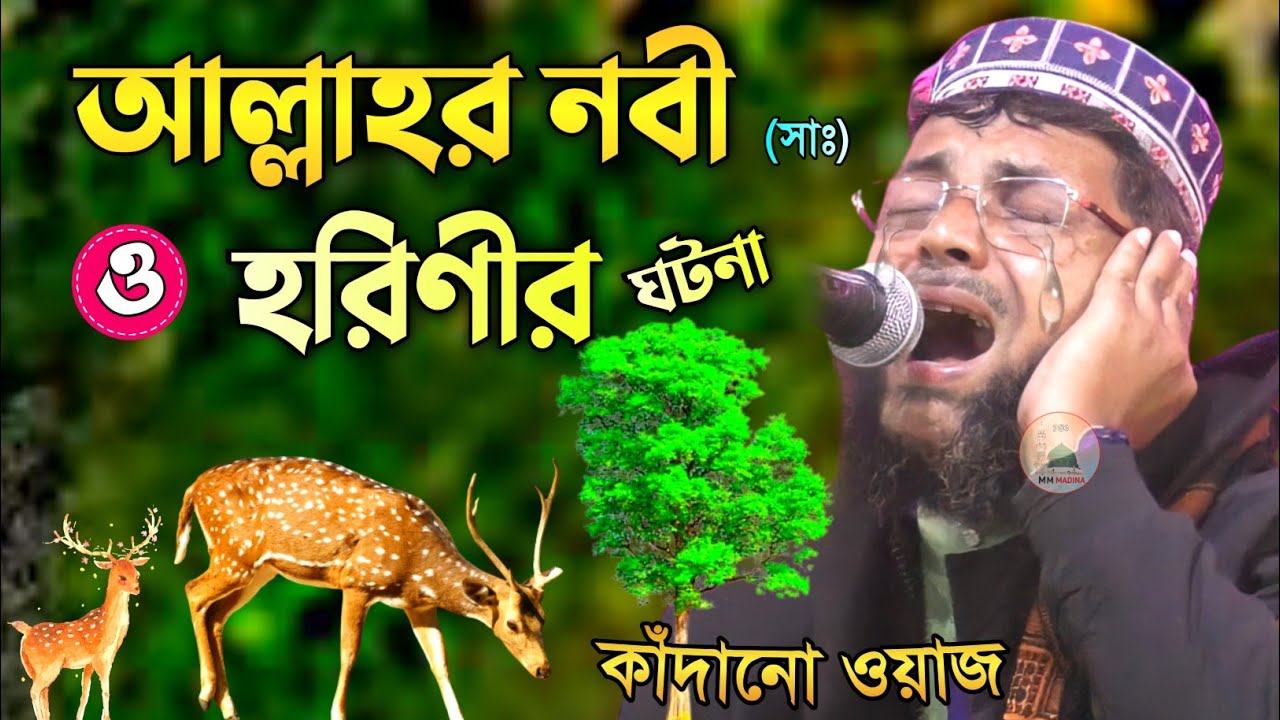 বিশ্ব নবী ও এক হরিণী ও তার বাচ্ছার ঘটনা┇খোকা মাওলানা আতাউল্লাহ ওয়াজ┇khoka maulana ataullah waz.