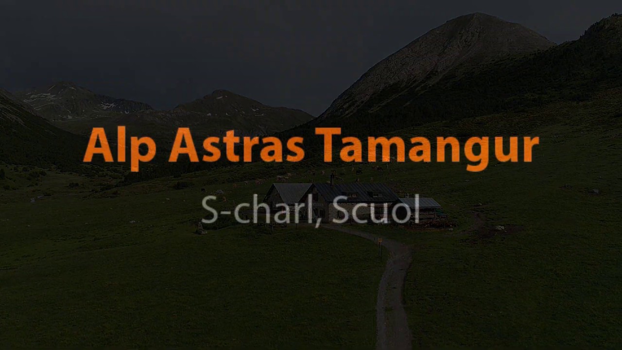 Käsen auf der Alp Astras Tamangur, S-charl Scuol