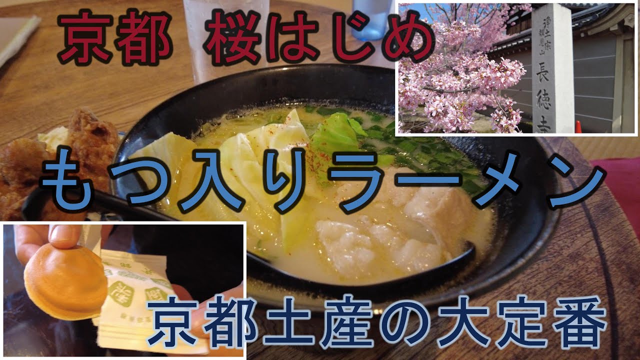 【京都 長徳寺 おかめ桜（2025年3月23日撮影）】京亀 ホルモンラーメン　阿闍梨餅本舗満月本店　阿闍梨餅　満月