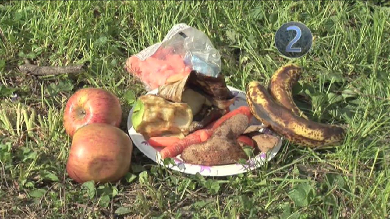 How To Make a Compost Pile in Your Garden