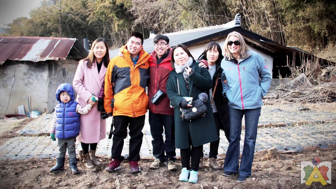 Korean Adoptee Twins Meet Their Birth Family for the First Time