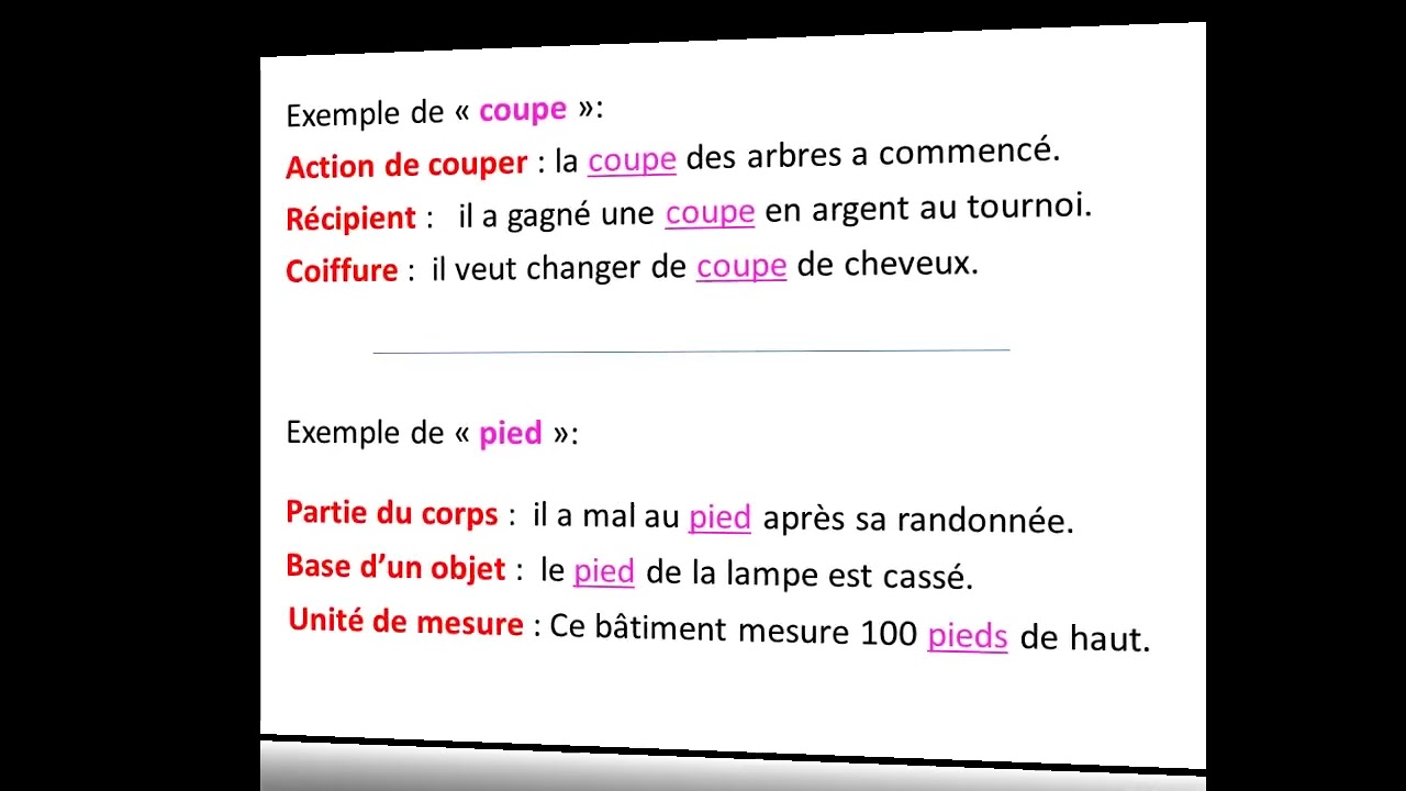 La sémantique : les relations sémantiques fondamentales (séance 4)
