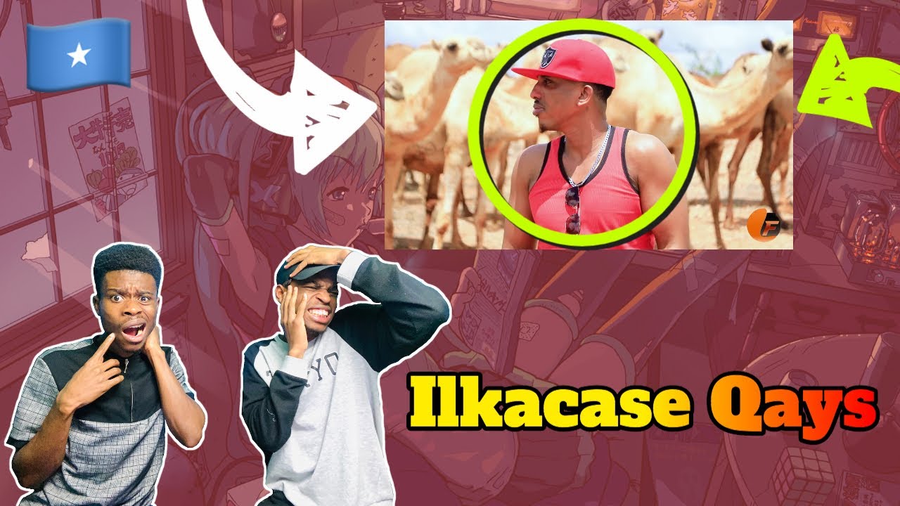 New Somali Music 2020: Ilkacase Qays | Heesti Shuweeya (official music video) - REACTION VIDEO!