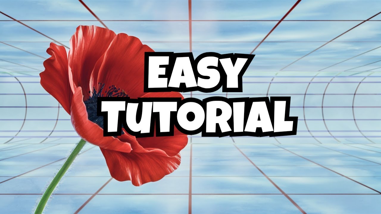 Карты рельефа упрощают создание реалистичных моделей маков в Blender