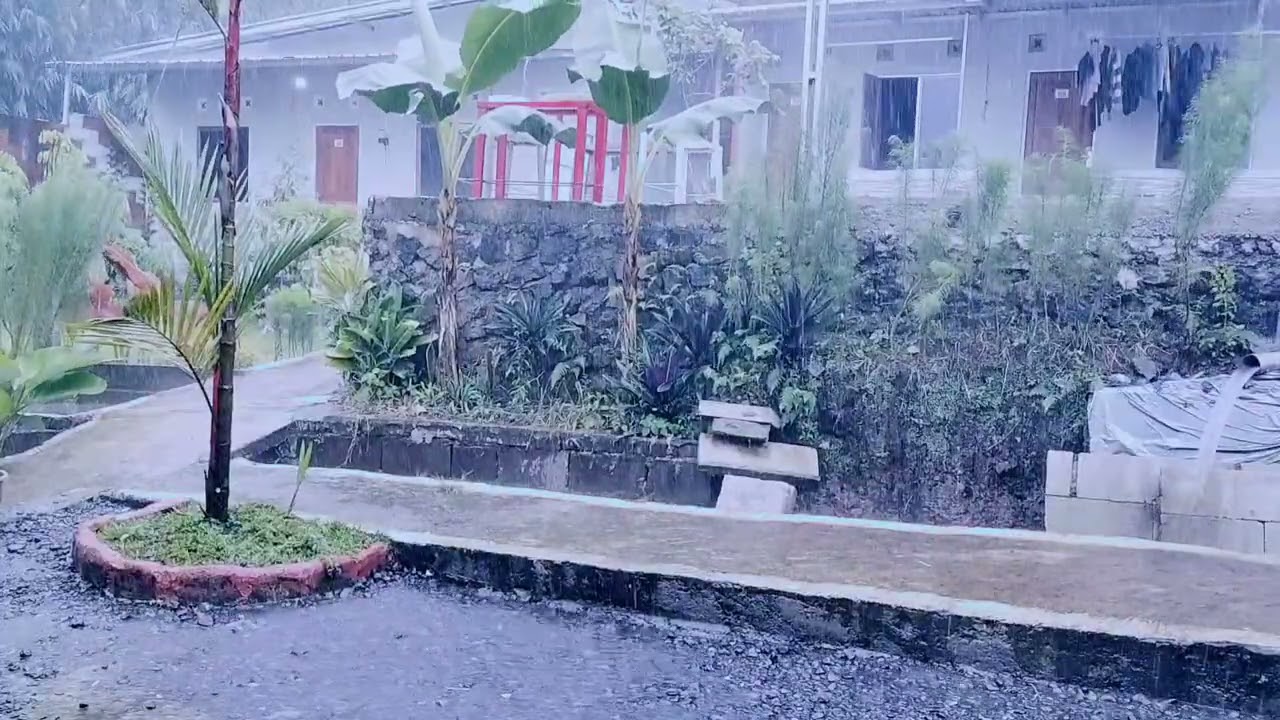 Can’t Sleep? 🌧️ Rain Sounds for Insomnia Relief