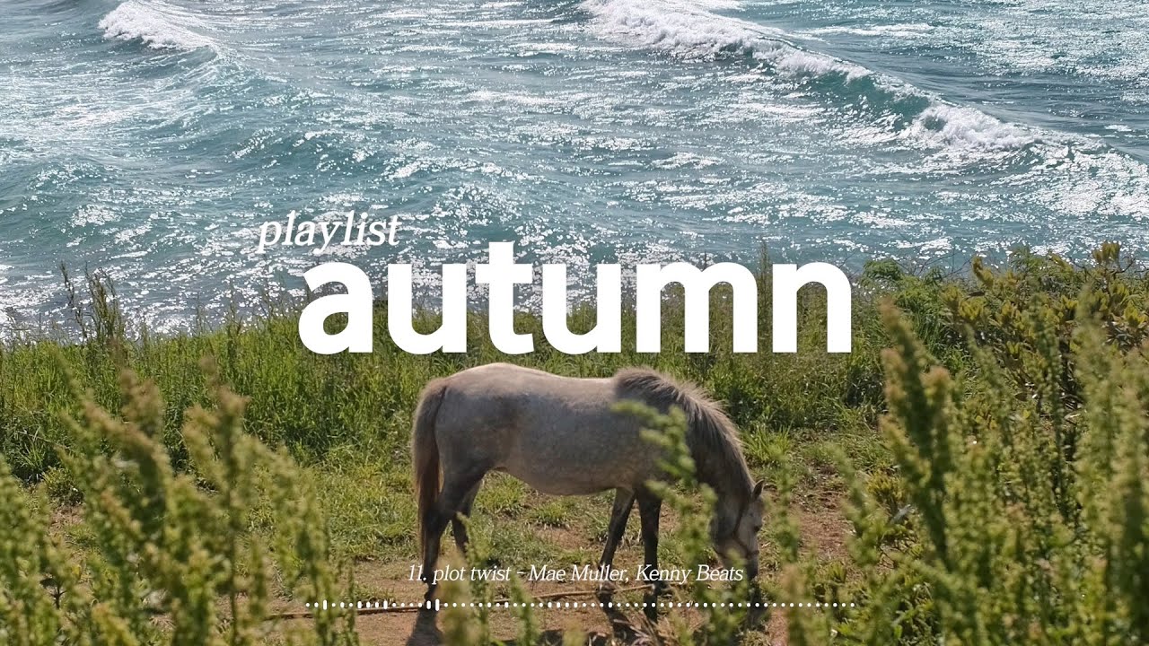 𝑷𝒍𝒂𝒚𝒍𝒊𝒔𝒕 선선한 날, 가을을 닮은 노래들🎧 ㅣSongs Like Crisp Breezes in Autumn
