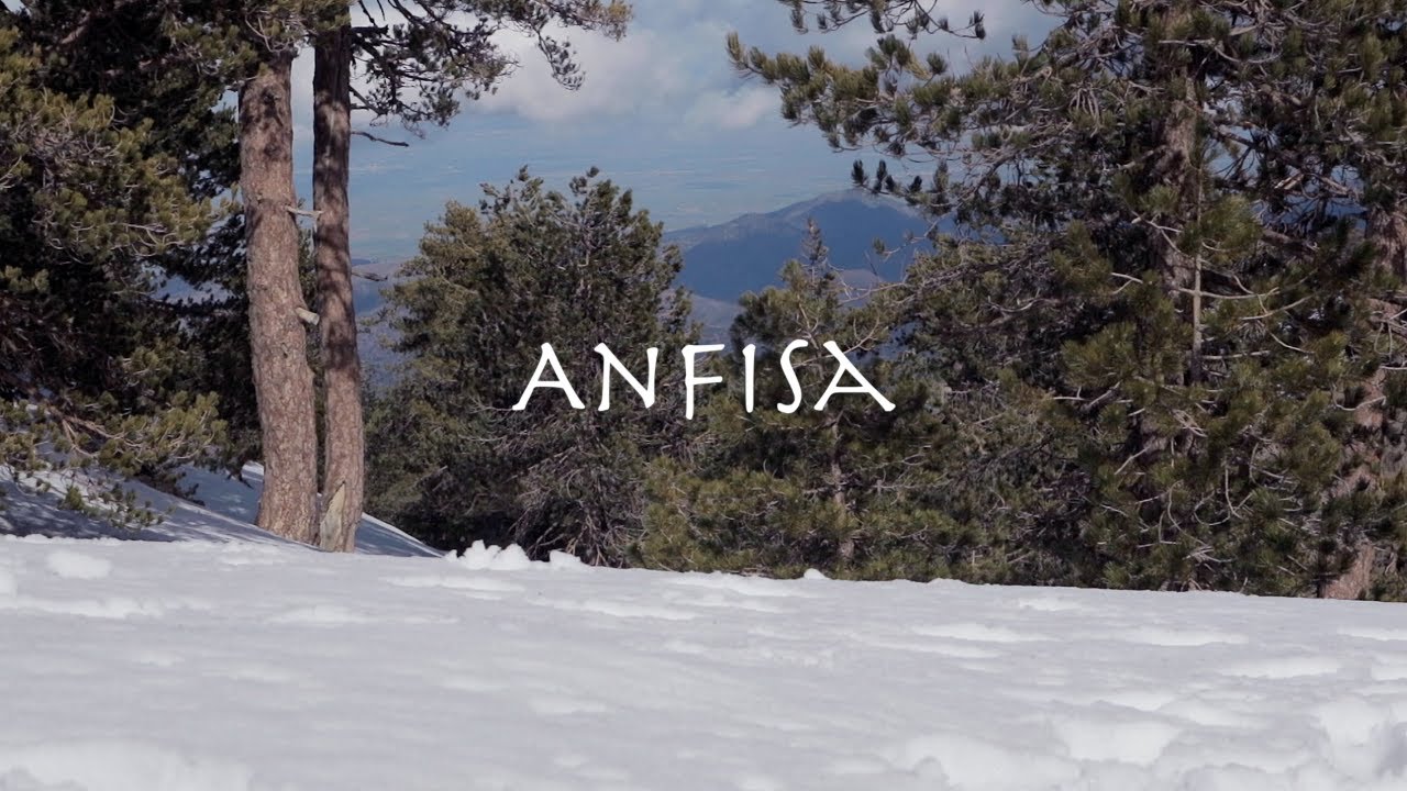 Anfisa - The Form of the Formless - Moving Sessions
