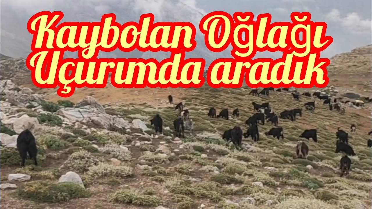 KAYBOLAN OĞLAĞI U&Ccedil;URUMDA ARADIK