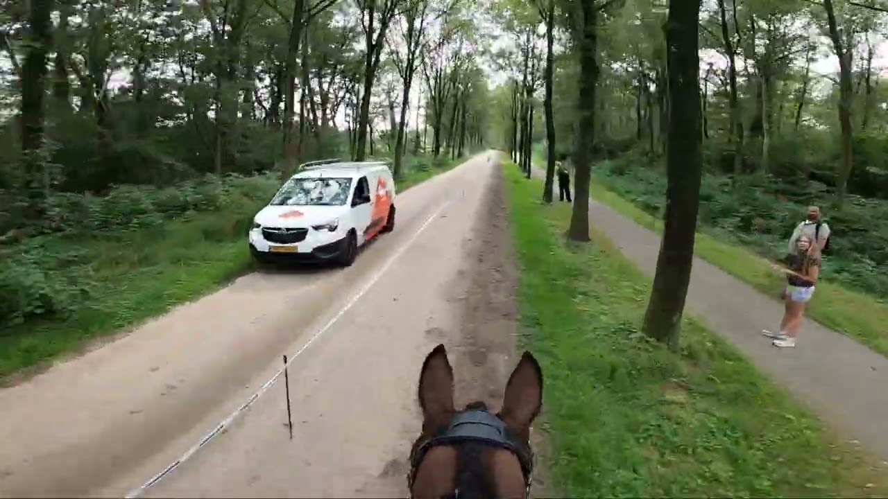 Eventing Norg 2024 Klasse B