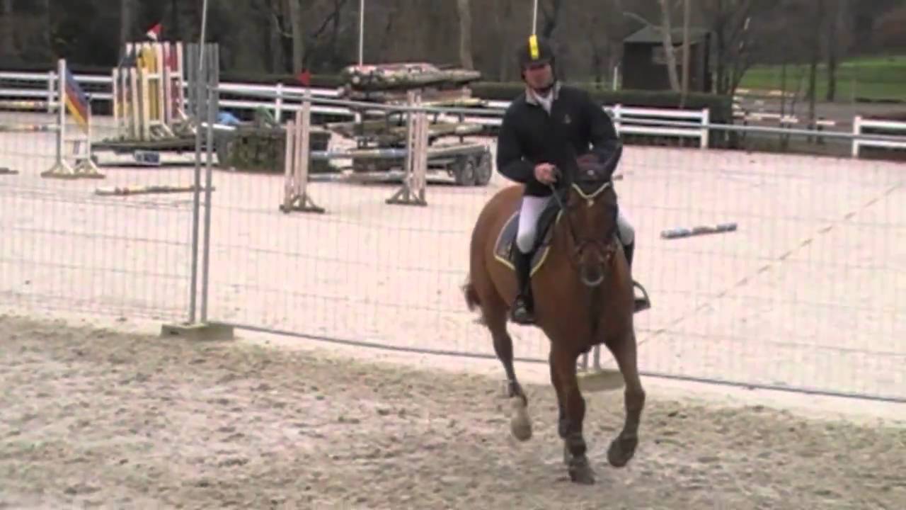 F. MOYERSOEN Master 2010