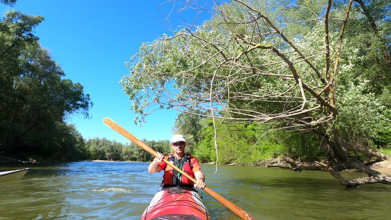 Kajak Gemenc 2021 május (kayaking on Danube Gemenc forest)