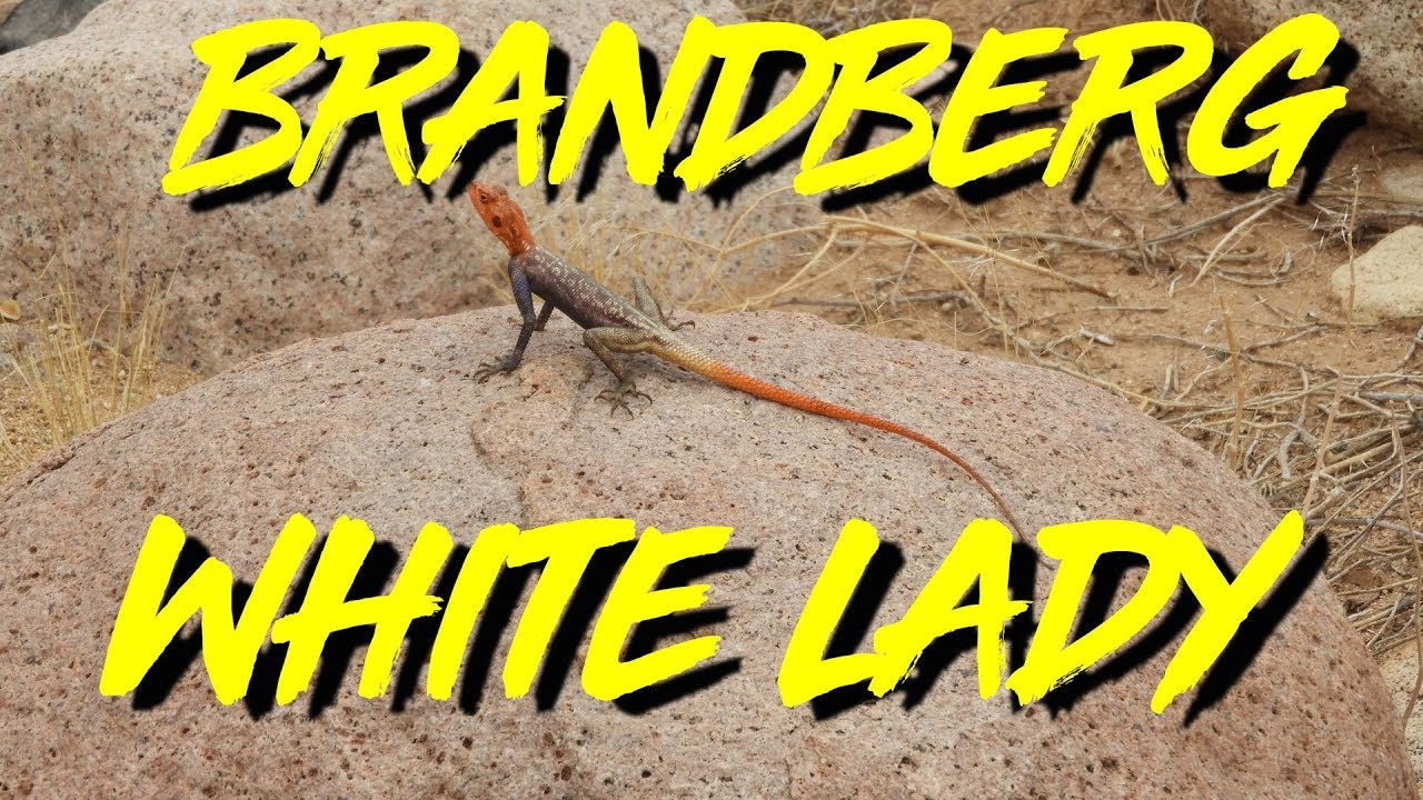 Namibia Botswana Simbabwe - Tag 18 - Brandberg White Lady