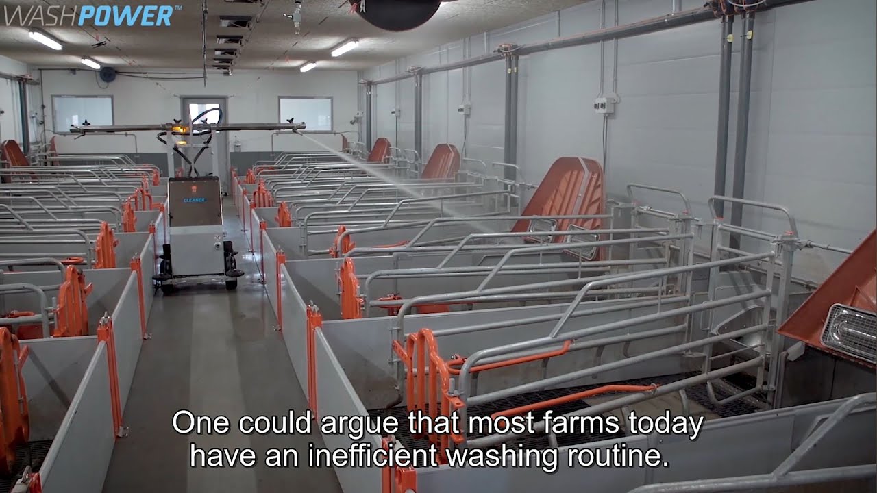 PIG FACTS: Automate cleaning of your farmhouse and improve efficiency