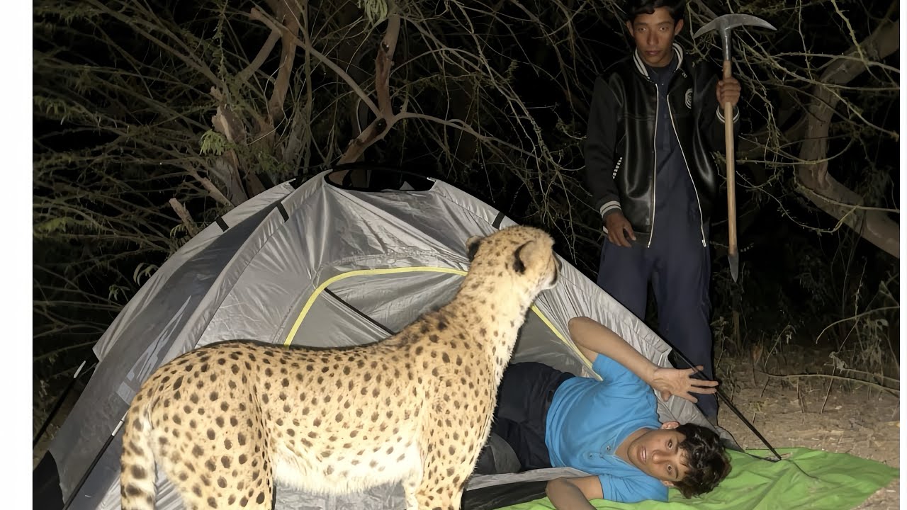 Leopard Attack in My Camp || Night Camping in  Forest || Dangerous Night Camping 🏕️🏕️