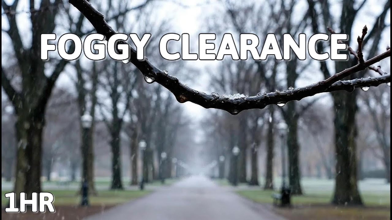 Instant Calm Rain | Misty Park Stress Relief (1 Hour)
