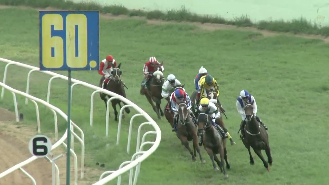 STARZELLA : THE TRACK LIGHTNING PLATE (37)