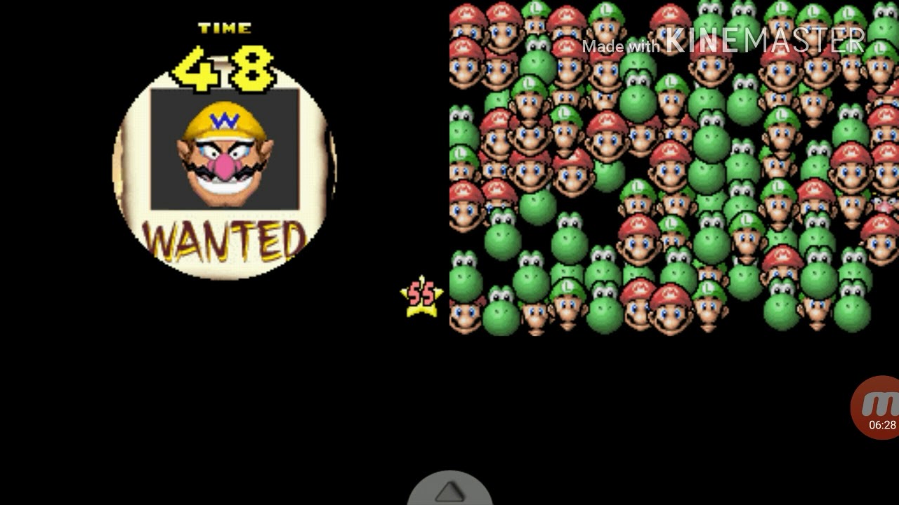 Super Mario 64 DS MiniGames: Wanted
