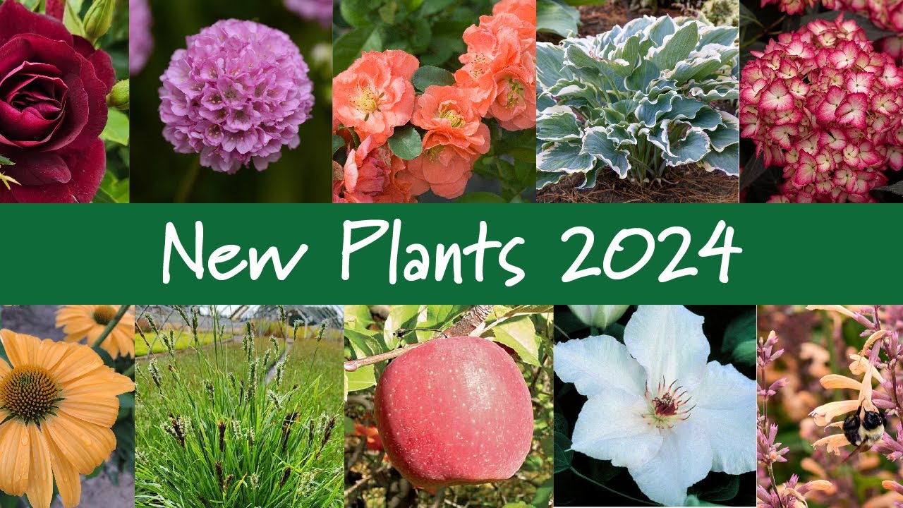 2024 New Plants at Prides Corner Farms