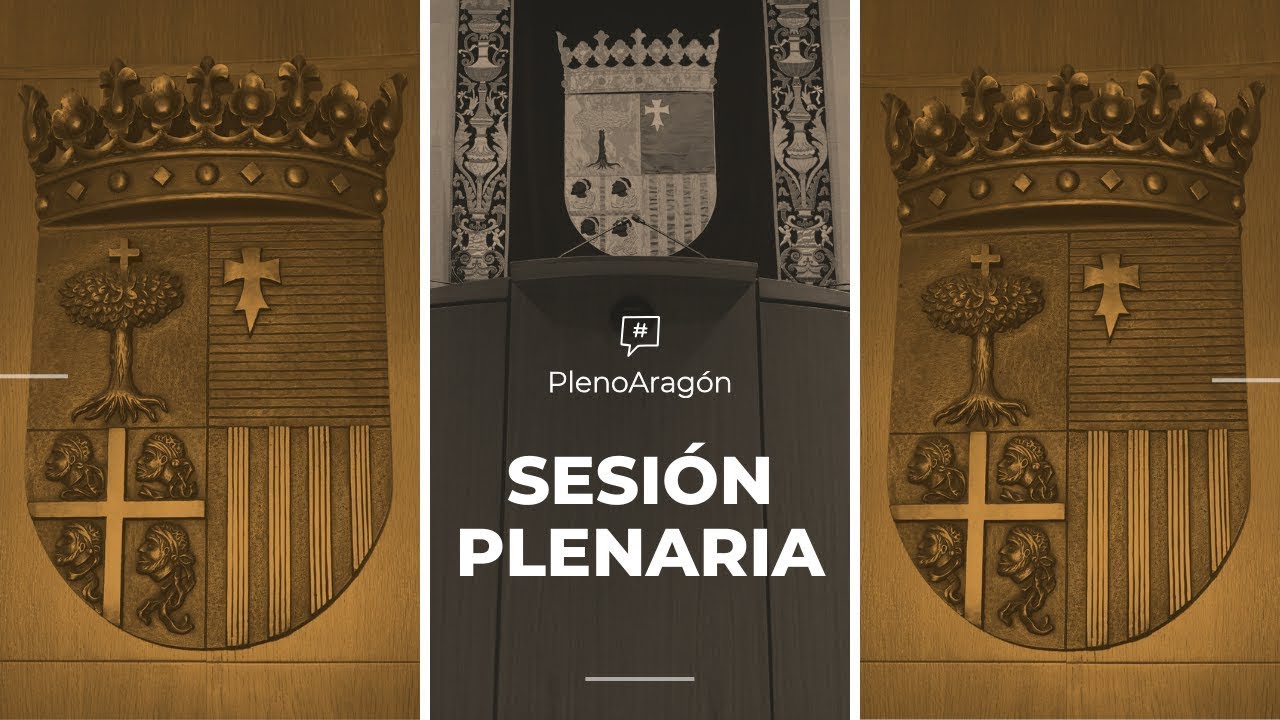 Sesión de la Diputación Permanente de las Cortes de Aragón
