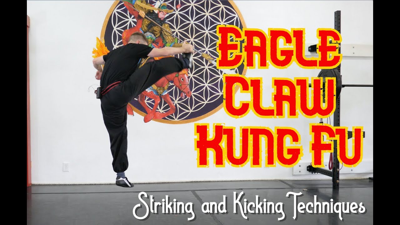 Eagle Claw Kung Fu 10 punches kicking drill