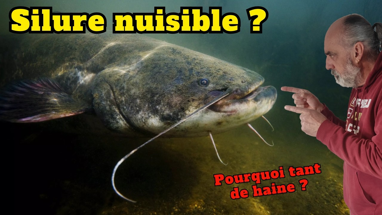 La vérité ne se trompe jamais !