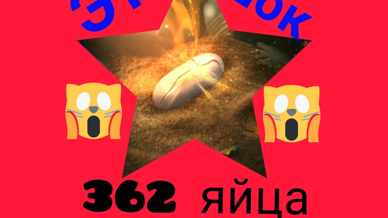 Шок вылупление 362 яйца и ораньжевый муравей боец. Самые мощьные муравьи 2022 год✊💪очень много яиц!)