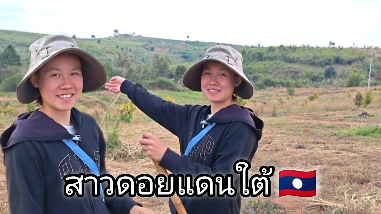 สาวลาวยี้มหวานมาก ขวัญใจผู้บ่าวไทยหลายคน สาวสวนทุเรียน 🇱🇦. #สาวนิดพาชม🇱🇦