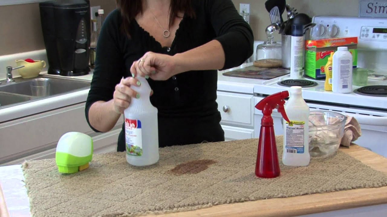 Housecleaning Tips : How to Clean Up Dog Feces From Carpet