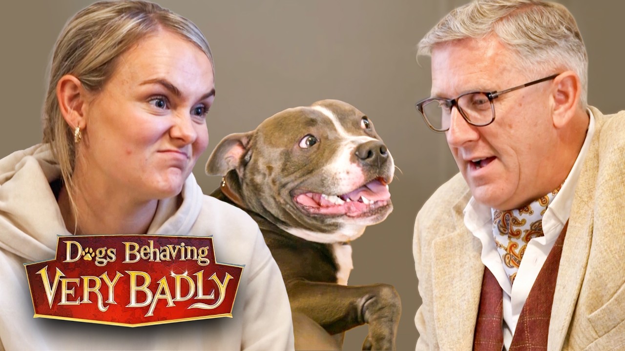 Disruptive Dogs Embarrassing Their Owners In Public!