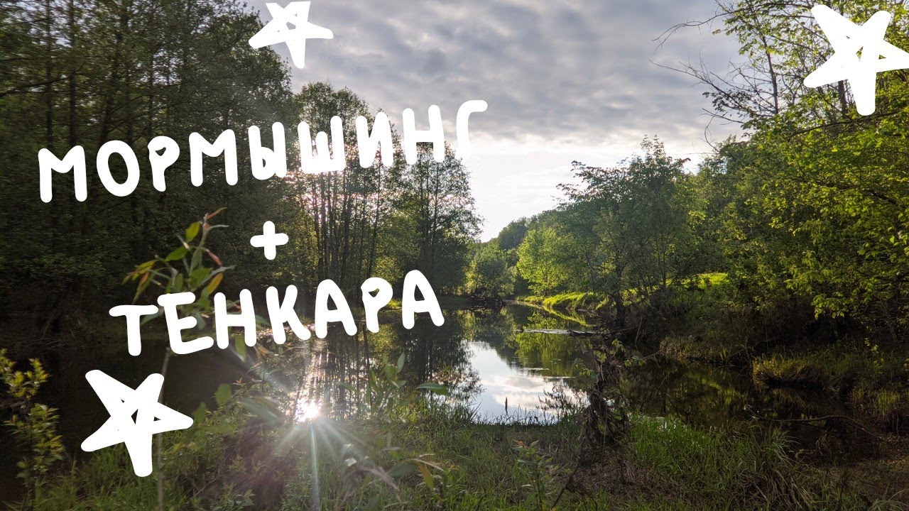 МОРМЫШИНГ x ТЕНКАРА x 5 видов рыб одной реки #54