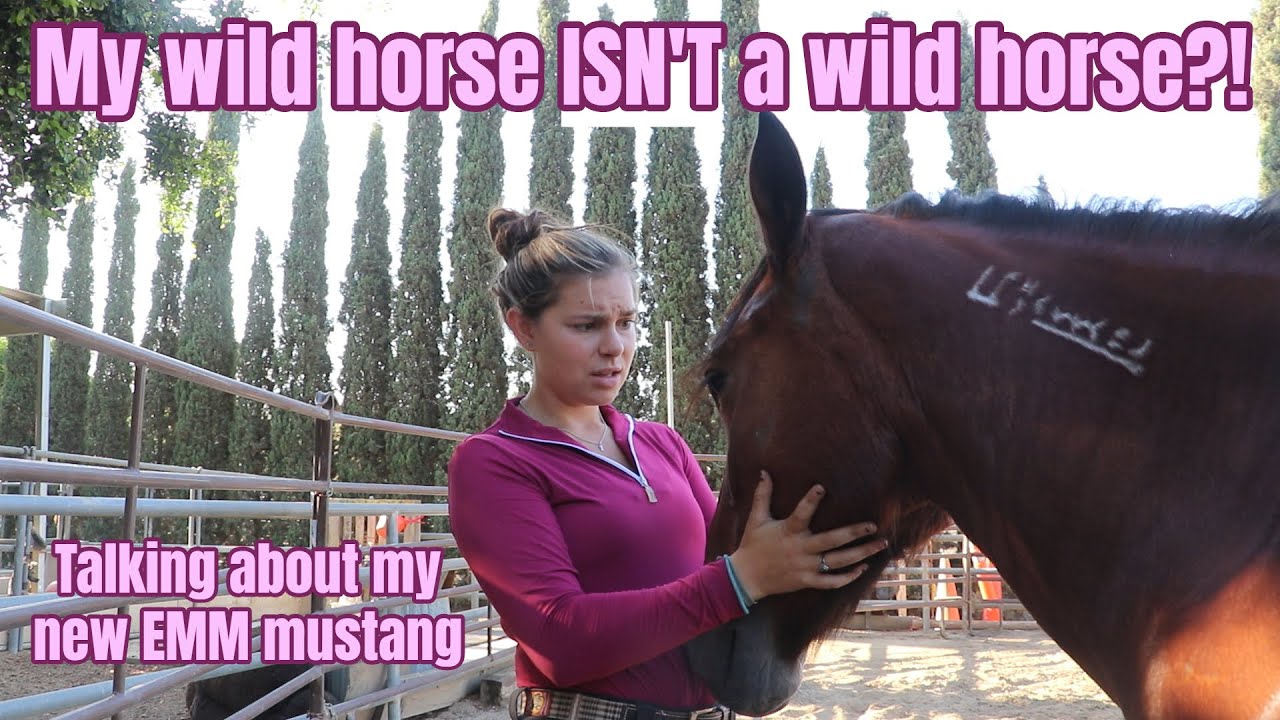 Wait... my Wild Horse ISN'T Wild?!