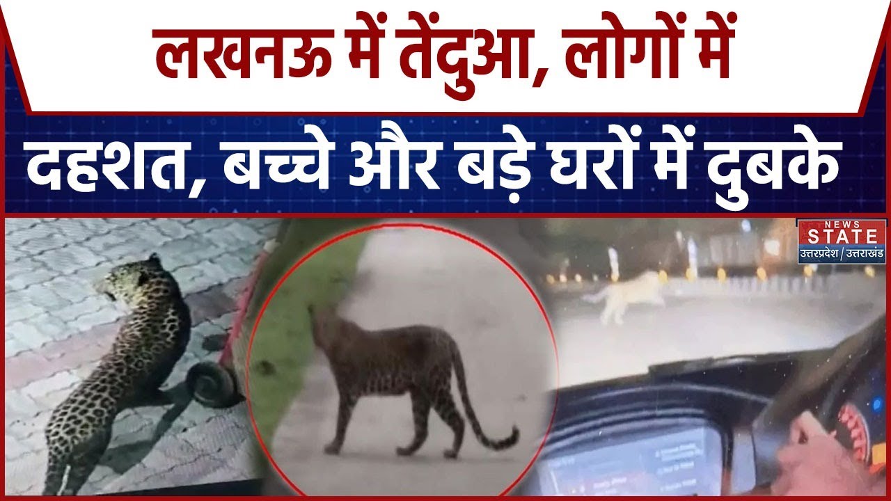 Lucknow Leopard Terror : लखनऊ कैंट इलाके में तेंदुआ दिखने से दहशत, रोड क्रॉस करते समय कैमरे में कैद